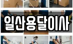 일산용달이사