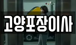 고양포장이사