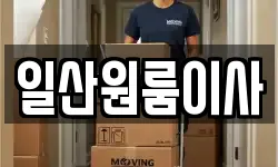 일산원룸이사