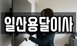일산용달이사
