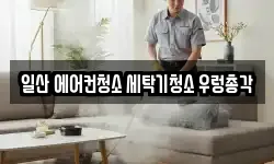 경기 고양시 일산동구 정발산동 청소,입주청소,사무실청소,에어컨청소
