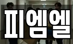 피엠엘