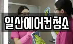 일산에어컨청소