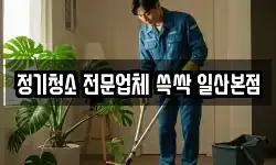 정기청소 전문업체 쓱싹 일산본점