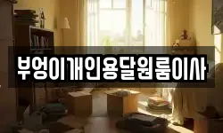 부엉이개인용달원룸이사