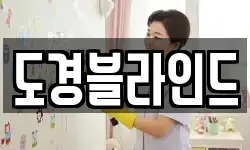 도경블라인드