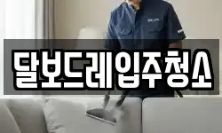 달보드레입주청소