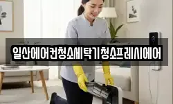 일산에어컨청소세탁기청소프레시에어