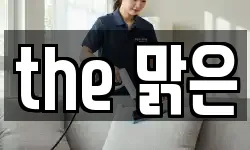 the 맑은