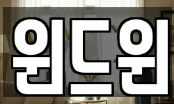 윈드윈