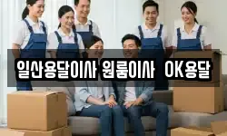 일산용달이사 원룸이사 OK용달