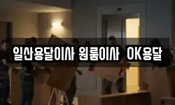 일산용달이사 원룸이사 OK용달