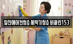 일산에어컨청소 세탁기청소 비클린153