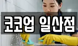 코코업 일산점