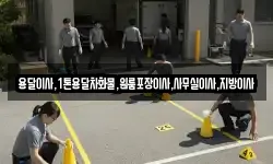 용달이사,1톤용달차화물,원룸포장이사,사무실이사,지방이사