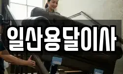 일산용달이사