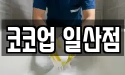 코코업 일산점