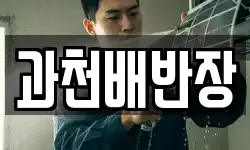 과천배반장