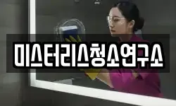 미스터리스청소연구소