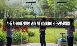 자동차에어컨청소냄새제거실내에바크리닝업체