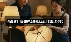 식당파출부,가사파출부,실버케어,노인건강검진,입주청소