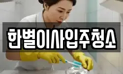 한별이사입주청소