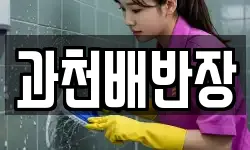 과천배반장