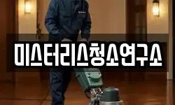 미스터리스청소연구소