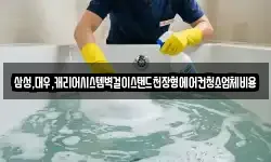삼성,대우,캐리어시스템벽걸이스탠드천장형에어컨청소업체비용