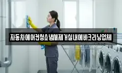 자동차에어컨청소냄새제거실내에바크리닝업체