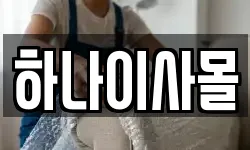하나이사몰