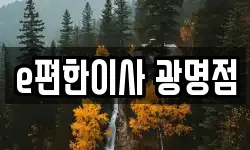 e편한이사 광명점
