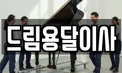 드림용달이사