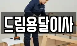 드림용달이사