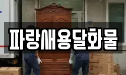 파랑새용달화물
