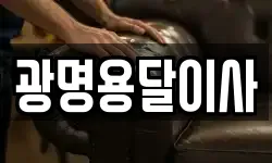 광명용달이사