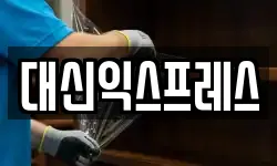 대신익스프레스