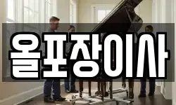 올포장이사