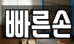 빠른손