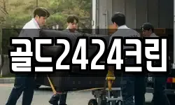 골드2424크린
