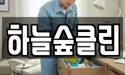 하늘숲클린