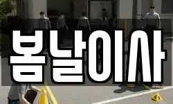 봄날이사