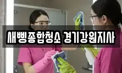 새삥종합청소 경기강원지사