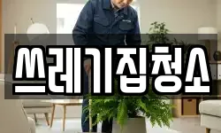 쓰레기집청소