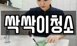 싹싹이청소