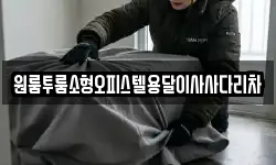 원룸투룸소형오피스텔용달이사사다리차