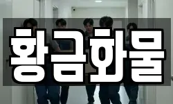 황금화물