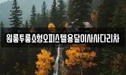 원룸투룸소형오피스텔용달이사사다리차