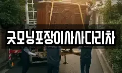 굿모닝포장이사사다리차