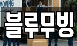 블루무빙